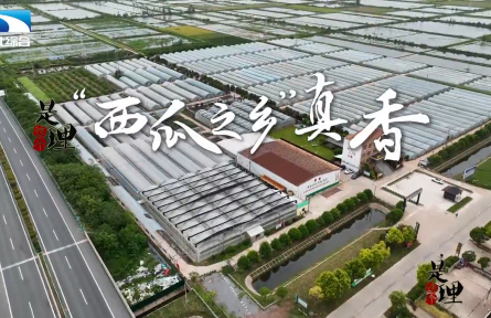 《是這個(gè)理》：“西瓜之鄉(xiāng)”真香