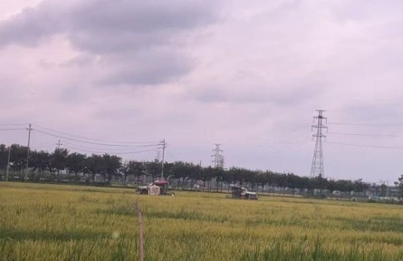 浙江湖州：春糧生產(chǎn)實(shí)現(xiàn)“三增長(zhǎng)”