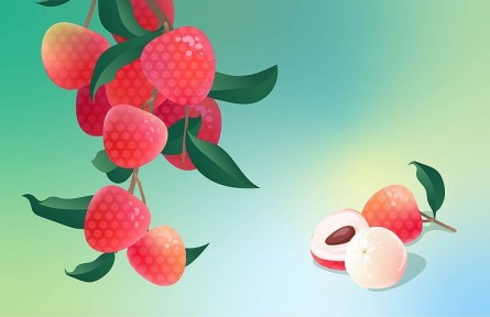 辟謠|荔枝果肉變白就不新鮮了嗎？