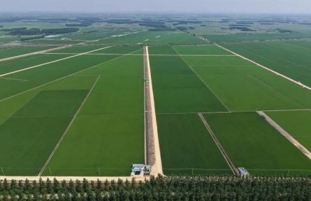 陳邦勛：以有力抓手加快推進(jìn)農(nóng)業(yè)發(fā)展全面綠色轉(zhuǎn)型