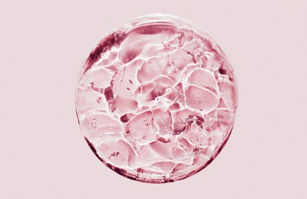 科技名詞|膠原蛋白 collagen