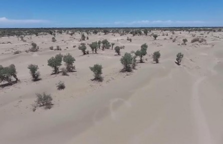 新疆：塔里木河引洪補水 生態(tài)農業(yè)補水兩不誤