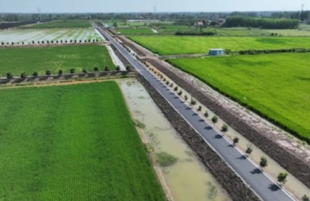 湖北公安景陽(yáng)崗村：“三塊田”里種出新希望