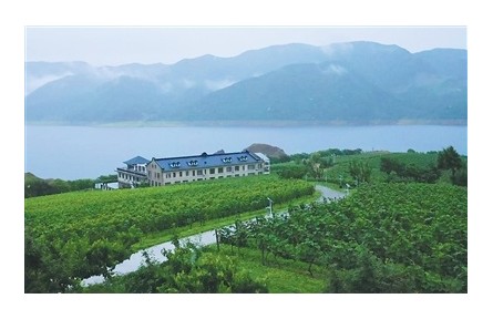 有世界最大“野生山葡萄”原酒貯藏窖，所產葡萄酒為開國大典專用酒  在“北國山城”品“東方波爾多”——“北冰紅”