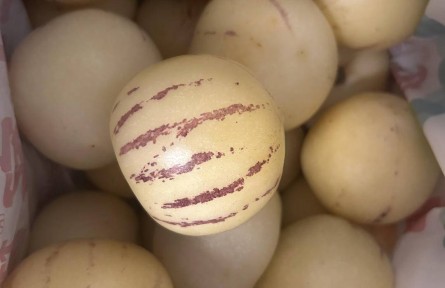 小麗逛菜場(chǎng) | 人參果是蔬菜不是水果？小心！含糖量比大多數(shù)水果高