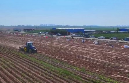 甘肅：豐收時(shí)節(jié) 特色農(nóng)產(chǎn)品助力農(nóng)民增收