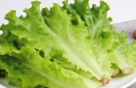 辟謠|生吃生菜真的會感染寄生蟲嗎？