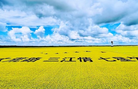 踏上黑土地，真正讀懂了“北大荒”