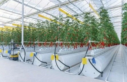 智能溫室里的“開學(xué)第一課”