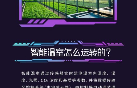 大國(guó)糧策|探秘智慧農(nóng)業(yè)——智能溫室與植物工廠