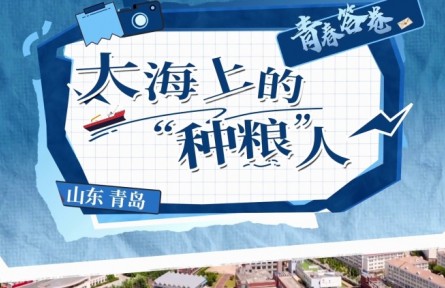 大海上的“種糧”人