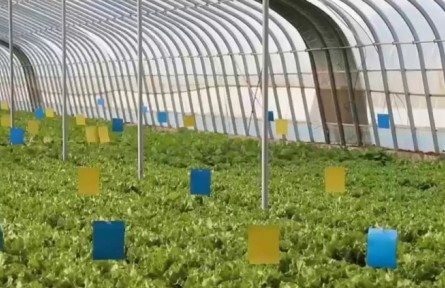 甘肅：特色產(chǎn)業(yè)解鎖鄉(xiāng)村致富“密碼”