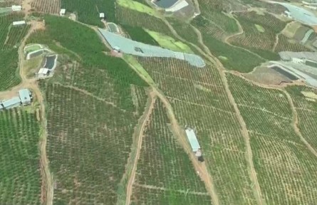 云南：科技破題 繪就云嶺好“豐”景