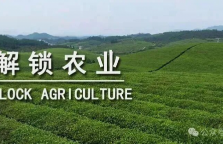 未來十年，中國(guó)需要什么樣的農(nóng)業(yè)品牌？｜特稿