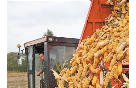 農(nóng)業(yè)農(nóng)村部緊急調(diào)劑調(diào)運救災機具 保障黃淮地區(qū)秋糧搶收搶烘