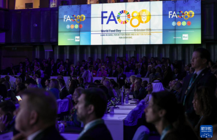 聯(lián)合國(guó)糧農(nóng)組織舉行世界糧食日暨成立80周年慶?；顒?dòng)