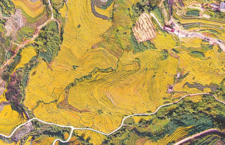 福建：谷豐倉(cāng)滿，糧安八閩