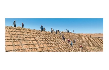 麥草方格，方寸之間鎖流沙