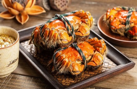 辟謠|剛死的螃蟹，到底能不能吃？