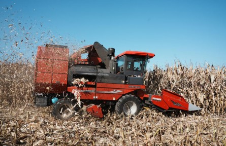 吉林延吉市：政策驅(qū)動農(nóng)機升級 玉米秋收高效推進