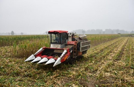 如何打好秋收秋種這場(chǎng)硬仗?