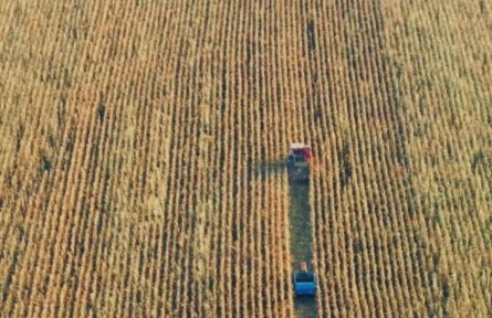 吉林秋收“加速度”，進(jìn)度同比提速5%