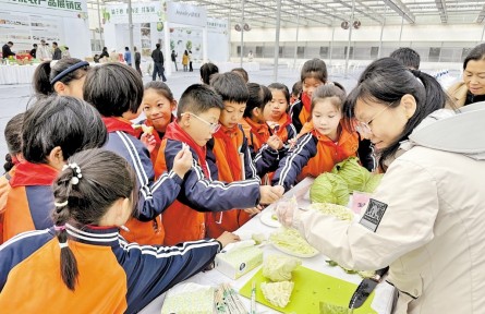 河北:鮮食蔬菜“爭寵” 餐桌綠意更濃