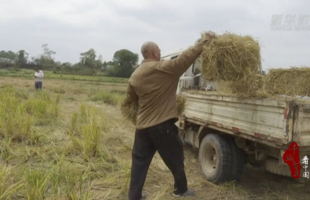 湖南祁陽：“生態(tài)循環(huán)”激活鄉(xiāng)村振興“雙贏路”