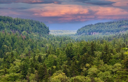 科技名詞|自然保護區(qū) nature reserve，nature sanctuary
