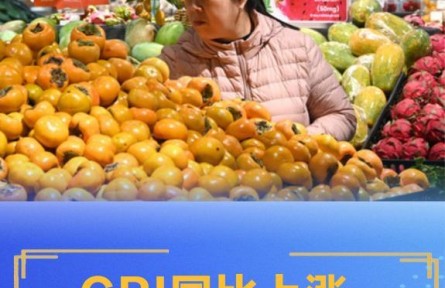 核心CPI漲幅連續(xù)第6個月擴大