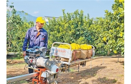 廣東梅州梅縣區(qū)南福村延伸金柚產業(yè)鏈，推動農文旅融合——柚農從一季賣果到四季有進項
